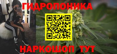ешки Гагарин