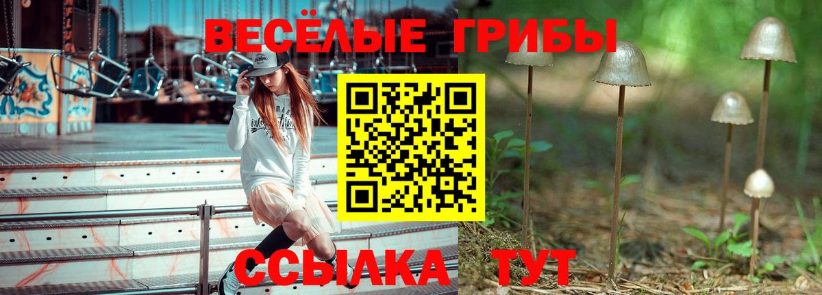 Галлюциногенные грибы Psilocybe  Вход с VPN  Галлюциногенные грибы ЛСД  Евпатория 