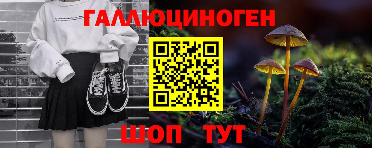Псилоцибиновые грибы Psilocybine cubensis Евпатория